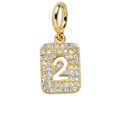 Block Pavé Number Cluster Charm - 2